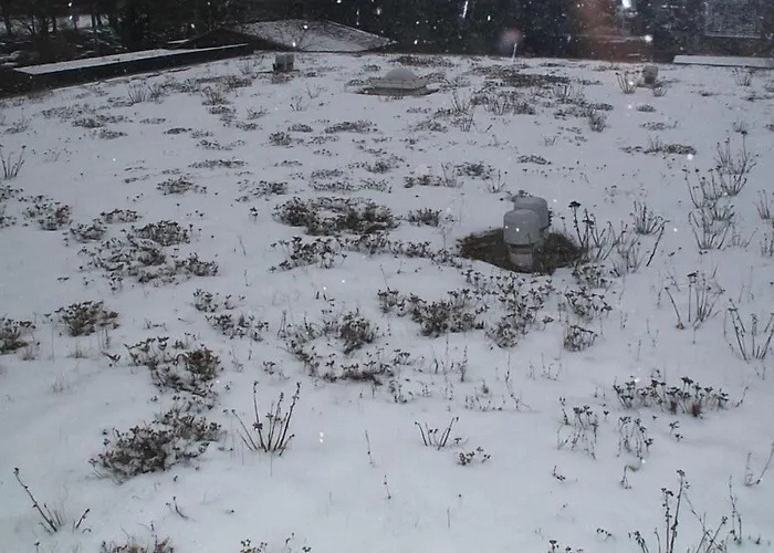 Einfelder Hof Garni Penzion